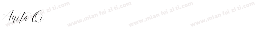 Anita Qi字体转换